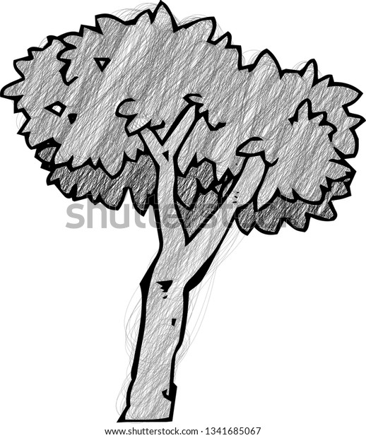 This Rough Sketch Picture Tree Style Stock Vector Royalty