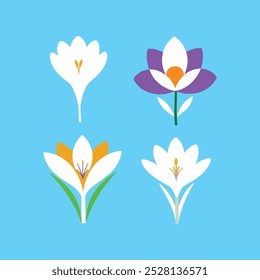 Esta ilustração do vetor da flor do açafrão Crocus mostra a beleza delicada da flor com detalhes elegantes, ideal para projetos de design, impressões e produtos digitais.