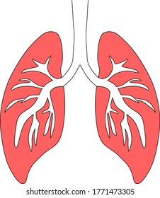 This selection contains drawings of human lungs. 