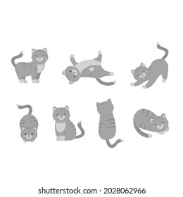 This is a set of cats in different poses isolated on a white background.