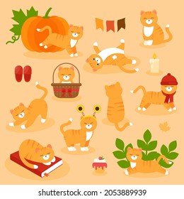 This is a set of cats in different poses with different objects.