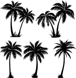 Diese Sammlung Detaillierter Silhouettenillustrationen Aus Palmen Und Kokospalmen In Schwarz Ist Ideal, Um Ihren Designprojekten Einen Hauch Von Tropischem Paradies Zu Verleihen. 