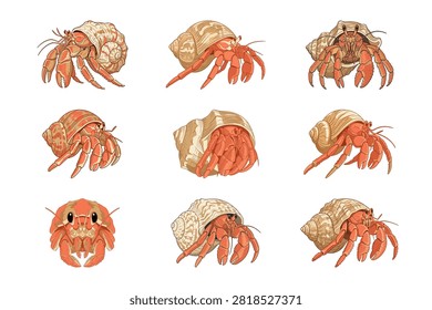 This set features nine