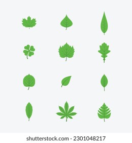 This is a set of green leaves vector.