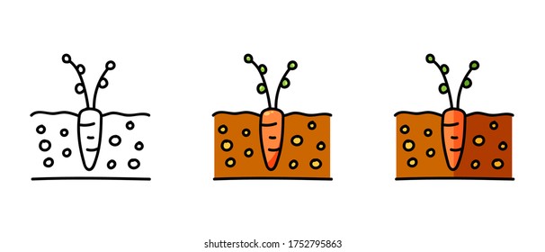  Este es un conjunto de íconos con un estilo diferente de plántula de zanahoria. Contorno y símbolos de color de una plántula de zanahoria. Dibujo a mano libre. Solución elegante de sitios web.
