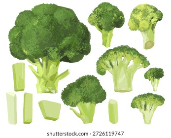 Dies ist eine Reihe von Illustrationen von Brokkoli in verschiedenen Arten geschnitten: ganz, halb, Querschnitt, Blüten, Stängel usw. Kann für Illustrationen und Diagramme in kochbezogenen Designs verwendet werden.