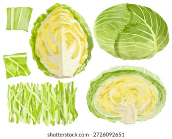 Este conjunto inclui ilustrações de repolho cortado de várias maneiras: inteiro, dividido, transversal, esquartejado, triturado e picado. Essas ilustrações podem ser usadas para ilustrações e diagramas em projetos relacionados a culinária.