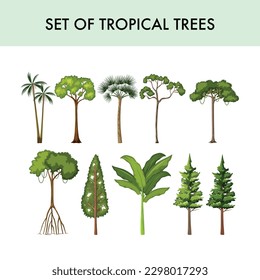 This is a set of tropical trees.