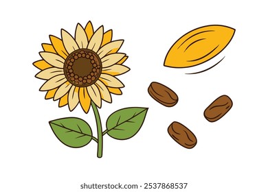 Este conjunto de veinte ilustraciones de girasol en un estilo botánico vintage es perfecto para diseños de temática floral, agregando un encanto rústico y natural a sus proyectos.