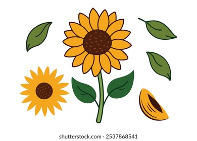 Este conjunto de veinte ilustraciones de girasol en un estilo botánico vintage es perfecto para diseños de temática floral, agregando un encanto rústico y natural a sus proyectos.