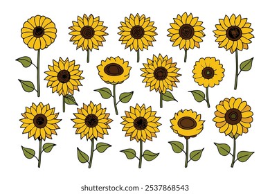 Este conjunto de veinte ilustraciones de girasol en un estilo botánico vintage es perfecto para diseños de temática floral, agregando un encanto rústico y natural a sus proyectos.