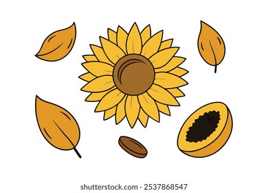 Este conjunto de veinte ilustraciones de girasol en un estilo botánico vintage es perfecto para diseños de temática floral, agregando un encanto rústico y natural a sus proyectos.