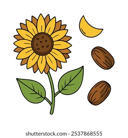 Este conjunto de veinte ilustraciones de girasol en un estilo botánico vintage es perfecto para diseños de temática floral, agregando un encanto rústico y natural a sus proyectos.