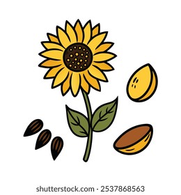 Este conjunto de veinte ilustraciones de girasol en un estilo botánico vintage es perfecto para diseños de temática floral, agregando un encanto rústico y natural a sus proyectos.