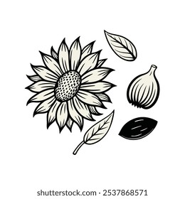This set of twenty sunflower illustrations in a vintage botanical style is perfect for floral-themed designs, adding a rustic and natural charm to your projects.