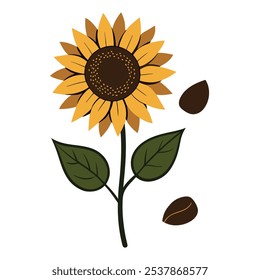 Este conjunto de veinte ilustraciones de girasol en un estilo botánico vintage es perfecto para diseños de temática floral, agregando un encanto rústico y natural a sus proyectos.