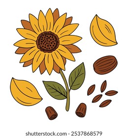 Este conjunto de veinte ilustraciones de girasol en un estilo botánico vintage es perfecto para diseños de temática floral, agregando un encanto rústico y natural a sus proyectos.