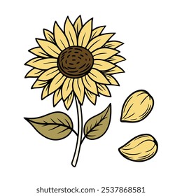 Este conjunto de veinte ilustraciones de girasol en un estilo botánico vintage es perfecto para diseños de temática floral, agregando un encanto rústico y natural a sus proyectos.