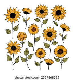 This set of twenty sunflower illustrations in a vintage botanical style is perfect for floral-themed designs, adding a rustic and natural charm to your projects.
