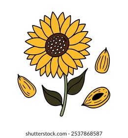 This set of twenty sunflower illustrations in a vintage botanical style is perfect for floral-themed designs, adding a rustic and natural charm to your projects.