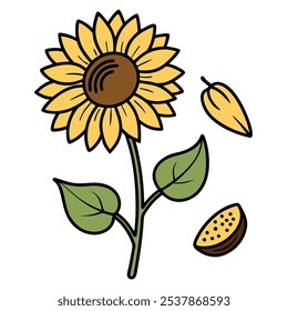 Este conjunto de veinte ilustraciones de girasol en un estilo botánico vintage es perfecto para diseños de temática floral, agregando un encanto rústico y natural a sus proyectos.