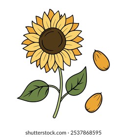 Este conjunto de veinte ilustraciones de girasol en un estilo botánico vintage es perfecto para diseños de temática floral, agregando un encanto rústico y natural a sus proyectos.