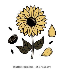 Este conjunto de veinte ilustraciones de girasol en un estilo botánico vintage es perfecto para diseños de temática floral, agregando un encanto rústico y natural a sus proyectos.