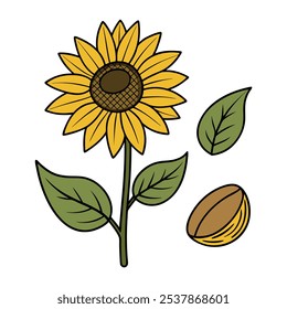 Este conjunto de veinte ilustraciones de girasol en un estilo botánico vintage es perfecto para diseños de temática floral, agregando un encanto rústico y natural a sus proyectos.