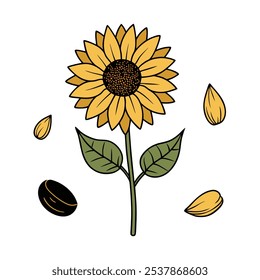 This set of twenty sunflower illustrations in a vintage botanical style is perfect for floral-themed designs, adding a rustic and natural charm to your projects.