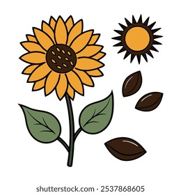 Este conjunto de veinte ilustraciones de girasol en un estilo botánico vintage es perfecto para diseños de temática floral, agregando un encanto rústico y natural a sus proyectos.