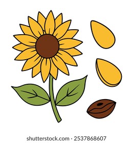 Este conjunto de veinte ilustraciones de girasol en un estilo botánico vintage es perfecto para diseños de temática floral, agregando un encanto rústico y natural a sus proyectos.