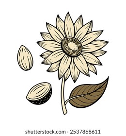 This set of twenty sunflower illustrations in a vintage botanical style is perfect for floral-themed designs, adding a rustic and natural charm to your projects.