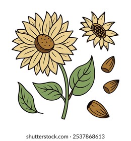 This set of twenty sunflower illustrations in a vintage botanical style is perfect for floral-themed designs, adding a rustic and natural charm to your projects.