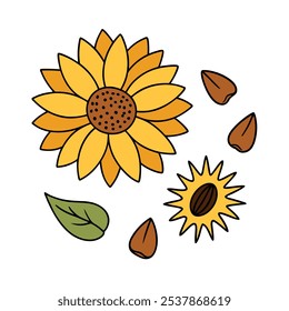 Este conjunto de veinte ilustraciones de girasol en un estilo botánico vintage es perfecto para diseños de temática floral, agregando un encanto rústico y natural a sus proyectos.