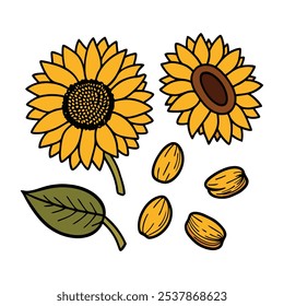 This set of twenty sunflower illustrations in a vintage botanical style is perfect for floral-themed designs, adding a rustic and natural charm to your projects.