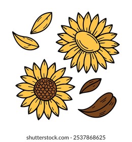 Este conjunto de veinte ilustraciones de girasol en un estilo botánico vintage es perfecto para diseños de temática floral, agregando un encanto rústico y natural a sus proyectos.