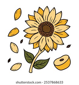 Este conjunto de veinte ilustraciones de girasol en un estilo botánico vintage es perfecto para diseños de temática floral, agregando un encanto rústico y natural a sus proyectos.