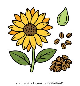 Este conjunto de veinte ilustraciones de girasol en un estilo botánico vintage es perfecto para diseños de temática floral, agregando un encanto rústico y natural a sus proyectos.