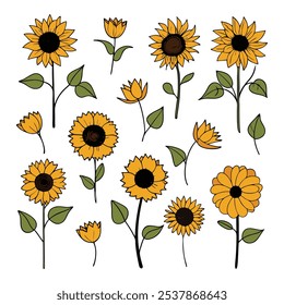 Este conjunto de veinte ilustraciones de girasol en un estilo botánico vintage es perfecto para diseños de temática floral, agregando un encanto rústico y natural a sus proyectos.