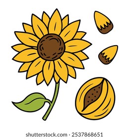 Este conjunto de veinte ilustraciones de girasol en un estilo botánico vintage es perfecto para diseños de temática floral, agregando un encanto rústico y natural a sus proyectos.