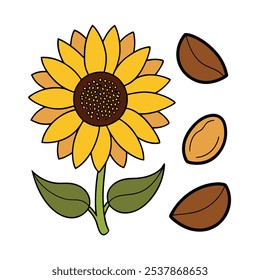 Este conjunto de veinte ilustraciones de girasol en un estilo botánico vintage es perfecto para diseños de temática floral, agregando un encanto rústico y natural a sus proyectos.