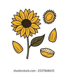 This set of twenty sunflower illustrations in a vintage botanical style is perfect for floral-themed designs, adding a rustic and natural charm to your projects.