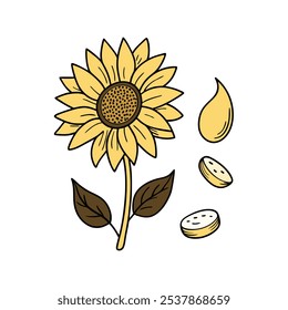 Este conjunto de veinte ilustraciones de girasol en un estilo botánico vintage es perfecto para diseños de temática floral, agregando un encanto rústico y natural a sus proyectos.