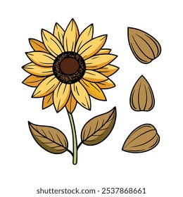 This set of twenty sunflower illustrations in a vintage botanical style is perfect for floral-themed designs, adding a rustic and natural charm to your projects.