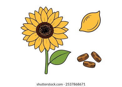 Este conjunto de veinte ilustraciones de girasol en un estilo botánico vintage es perfecto para diseños de temática floral, agregando un encanto rústico y natural a sus proyectos.