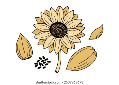 Este conjunto de veinte ilustraciones de girasol en un estilo botánico vintage es perfecto para diseños de temática floral, agregando un encanto rústico y natural a sus proyectos.