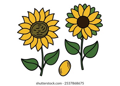 Este conjunto de veinte ilustraciones de girasol en un estilo botánico vintage es perfecto para diseños de temática floral, agregando un encanto rústico y natural a sus proyectos.