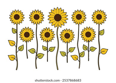 Este conjunto de veinte ilustraciones de girasol en un estilo botánico vintage es perfecto para diseños de temática floral, agregando un encanto rústico y natural a sus proyectos.