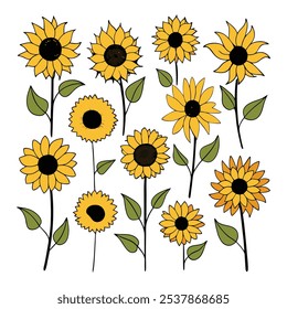 Este conjunto de veinte ilustraciones de girasol en un estilo botánico vintage es perfecto para diseños de temática floral, agregando un encanto rústico y natural a sus proyectos.