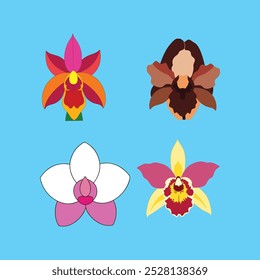 This Shenzhen Nongke Orchid Flower vector art illustration features the rare and exquisite beauty of the flower, perfect for digital products, prints, and botanical design projects.